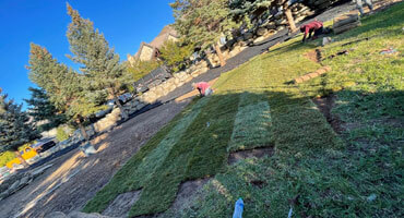 Sod removal and install